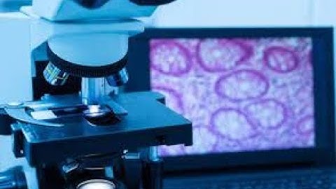 Digital Pathology | Transforming the Healthcare Education | Online Course