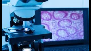 Digital Pathology | Transforming the Healthcare Education | Online Course