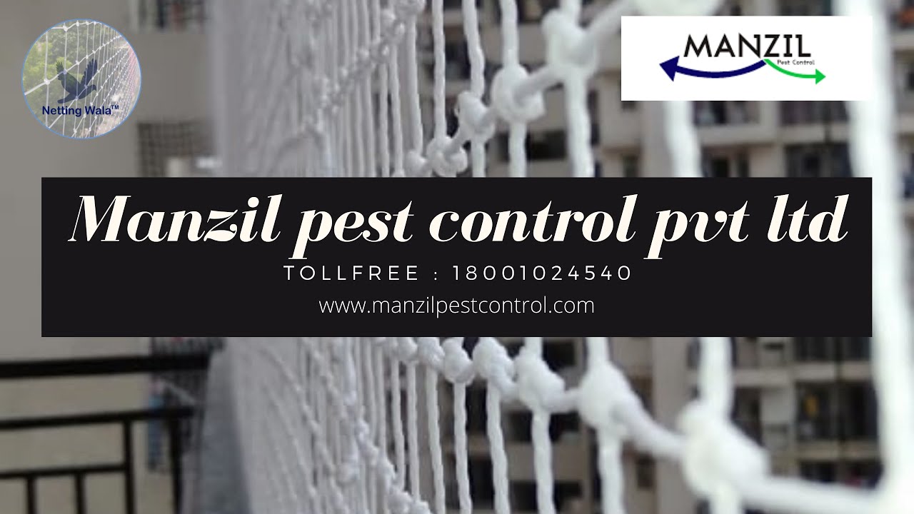 Problems & Solutions of bird netting service call :- 18001024540 