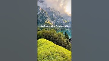 تلاوة خاشعة للقارئ الشيخ ماهر المعيقلي #قران #قران_كريم #القران_الكريم #قرآن  #ماهر_المعيقلي