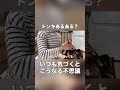 ドンキあるある？気づくといつもこうなってる不思議