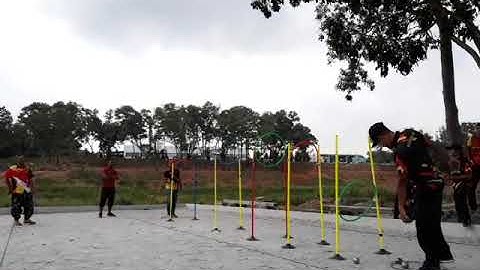 ATIF : Training petanque for consistency shooting shot