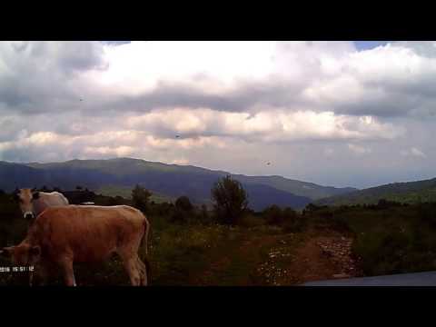 მანავის ცივი - ჯაგნის ველი 29.05.2016