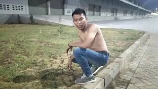 500 Ribu ke K.U.A budal 😂🤣