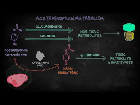 دواء الأسيتامينوفين (الباراسيتامول) - Acetaminophen (Paracetamol)