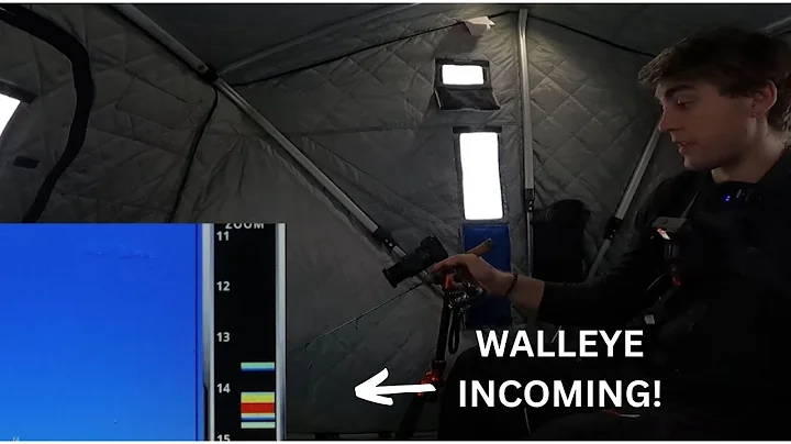 Early Ice Walleye! MORE Quinte GOLD