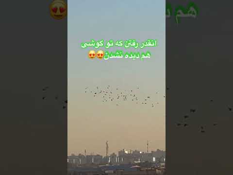 چاشنی بازی عالی داش علی در جاده قدیم رفیق محسن توردار شورت کبوتر بلندپرواز کلیپ