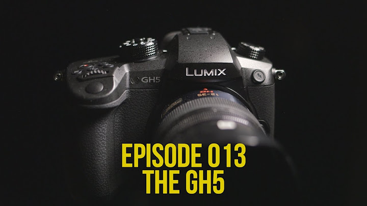 Panasonic gh 5 lcd display review năm 2024