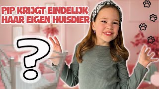 Download Lagu PIP KRIJGT EEN HUISDIER UIT FRANKRIJK !! MP3 Download Lagu PIP KRIJGT EEN HUISDIER UIT FRANKRIJK !! MP3