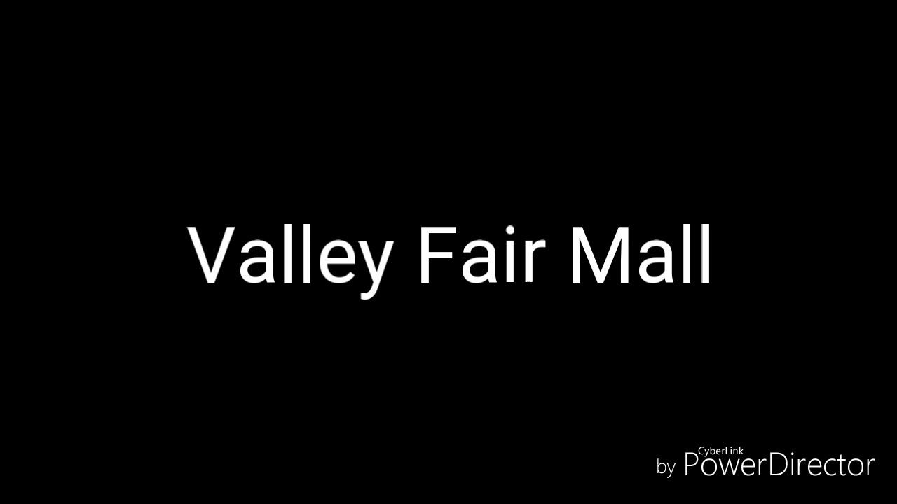 My Life at Disney Store at Valley Fair Mall YouTube