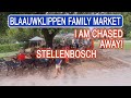 Blaauwklippen family market stellenbosch