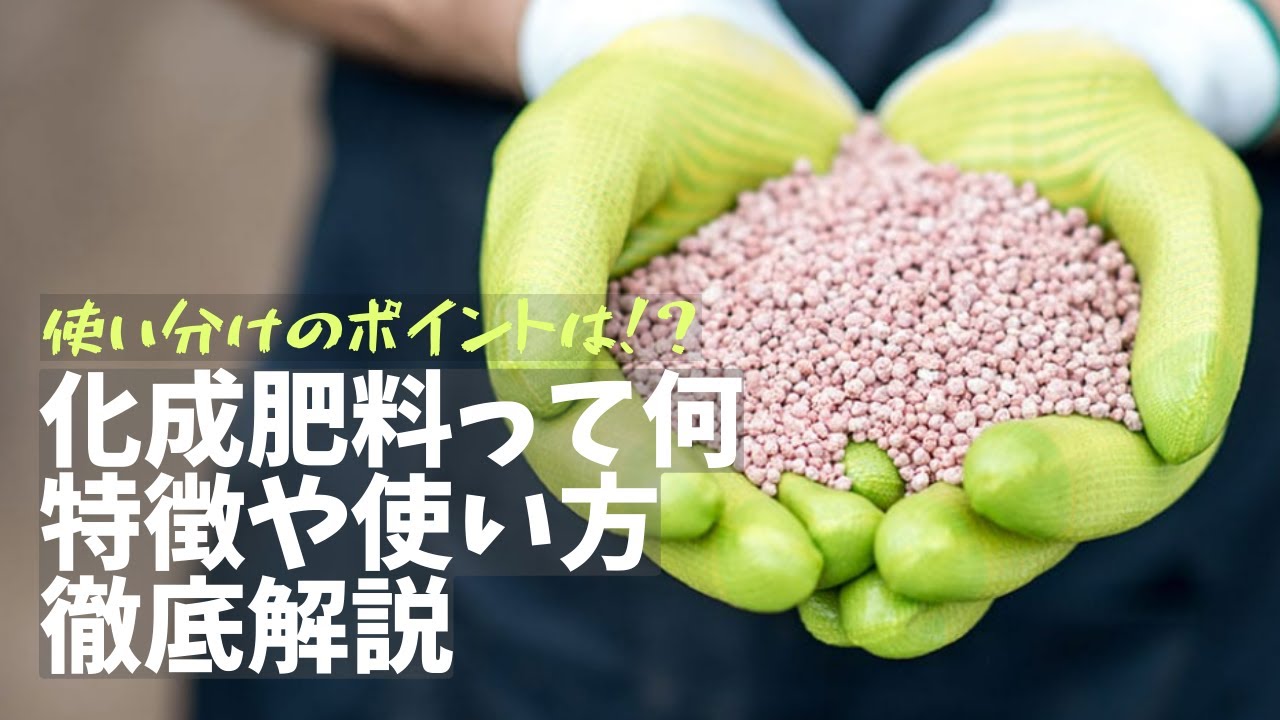 化成肥料とは何 特徴や使い方 種類をわかりやすく解説 となりのカインズさん