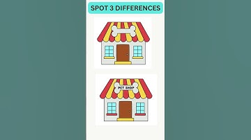 Spot 3 Differences#10