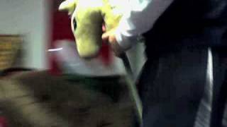 Capture 20081122