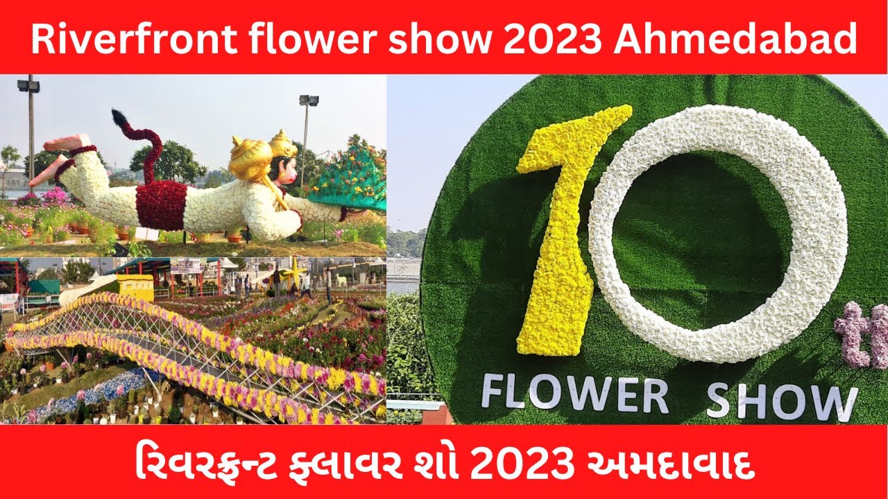 Flower Show Ahmedabad 2023 Riverfront India YouTube