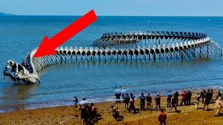 9 Creatures People Used To Believe Existed!