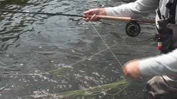 Spey Casting How To: Line Management