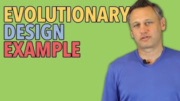 Evolutionary Design EXAMPLE