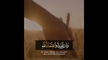 تلاوة خاشعة بصوت عبدالله الموسى// حالات واتس اب قران 🌸💜