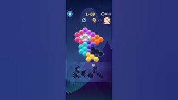 BlockPuz level 69 jigsaw puzzles W S