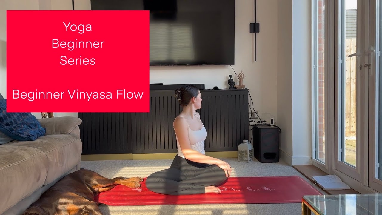 Yoga Beginner Series | 25 Mins | Beginner Vinyasa Flow | FlowWithMeghan