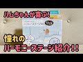 【ハムスター】あのハーモニーステージをご紹介！超簡単に2階が作れます