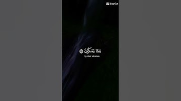 الصبر مفتاح الفرج | تلاوة مؤثرة لسورة النحل بصوت خالد الجليل #القارئ خالد الجليل