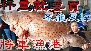將軍漁港丨秤重過磅就要開單丨野生大石斑馬上賣光丨直接代客料理超舒服丨Jiangjun Fishing Port Fresh Fish Auction
