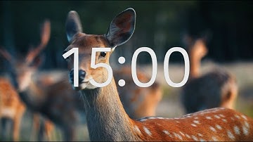 15 Minute Timer With Relaxing Music: Animal Theme