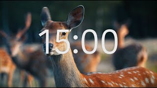 15 Minute Timer With Relaxing Music: Animal Theme