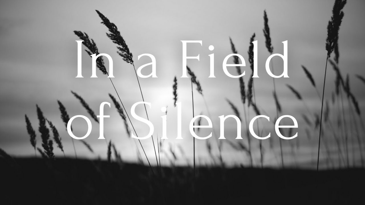 Michael Kim-Sheng - In a Field of Silence Michael Kim-Sheng - In a Field of Silence