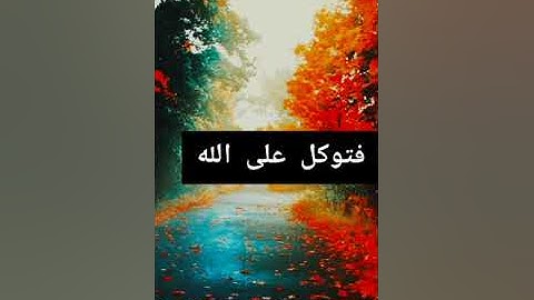 تلاوات قصيره جدا للشيخ محمد أسامه Mohamed osama, koran kareem (4)