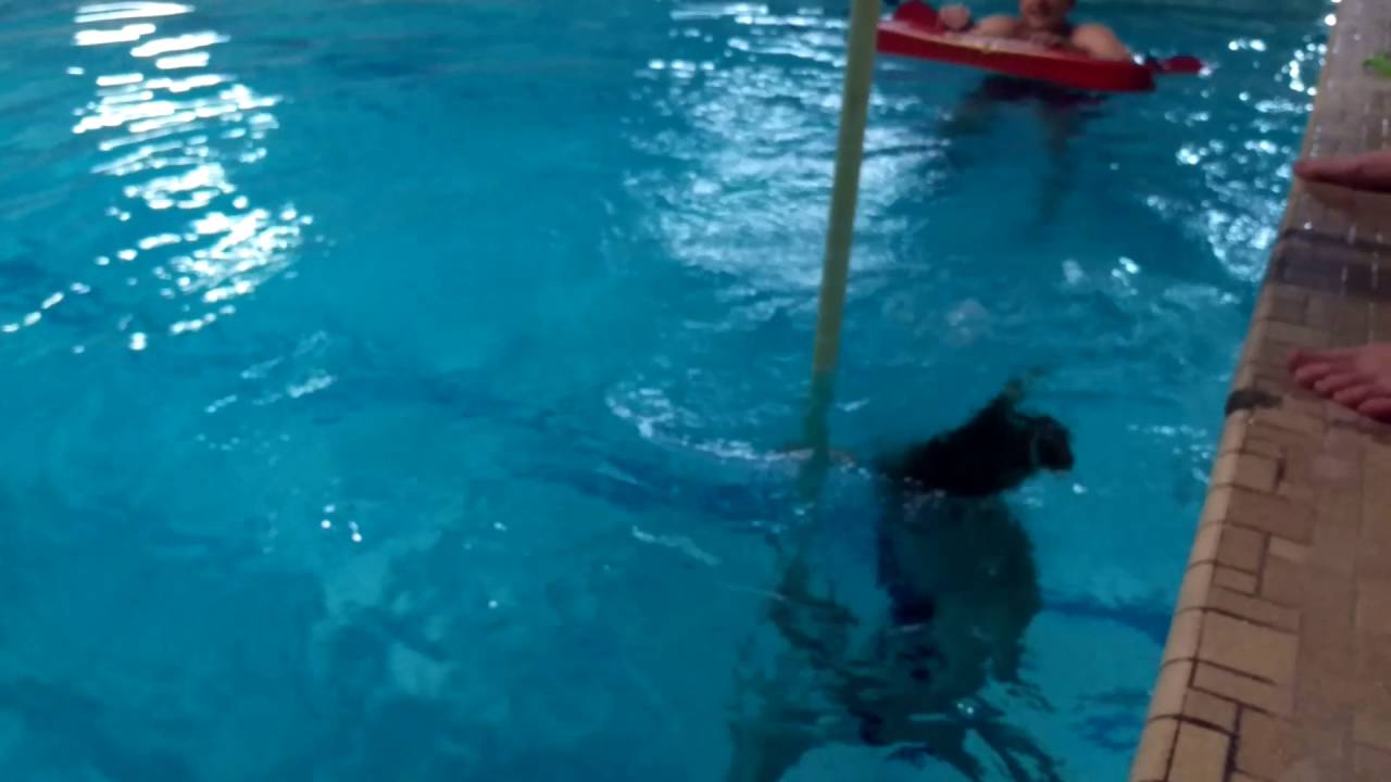 Sugar Salem Underwater Pole Vault