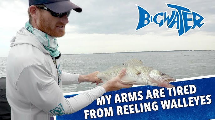 Lake Erie walleye trolling, how to tie worm harness. 