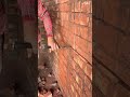 Behind the Plaster: The Importance of Accurate Electrical Preparation
