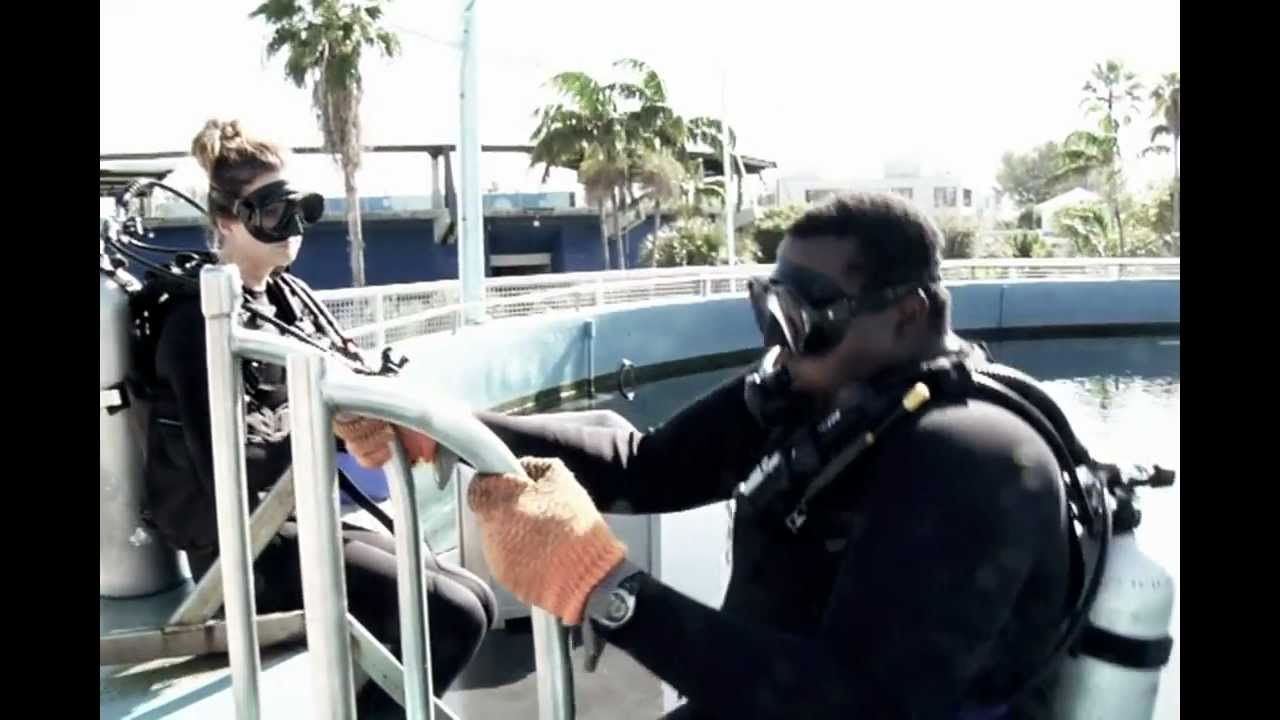 AOHT/NAF "A Call to Action"