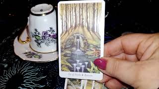 Síla osuduZměna situace #vykladzkavy #výkladkaret #tarot #výkladkariet #horoskop #vestenie #karty