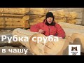 Рубка сруба из кедра. Русская, канадская или бриллиантовая чаша. Врубиться в тему! Выпуск#3.