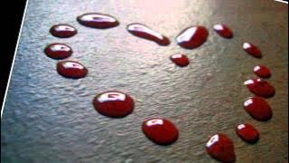 The Beauty of the Blood - Joseph Habedank