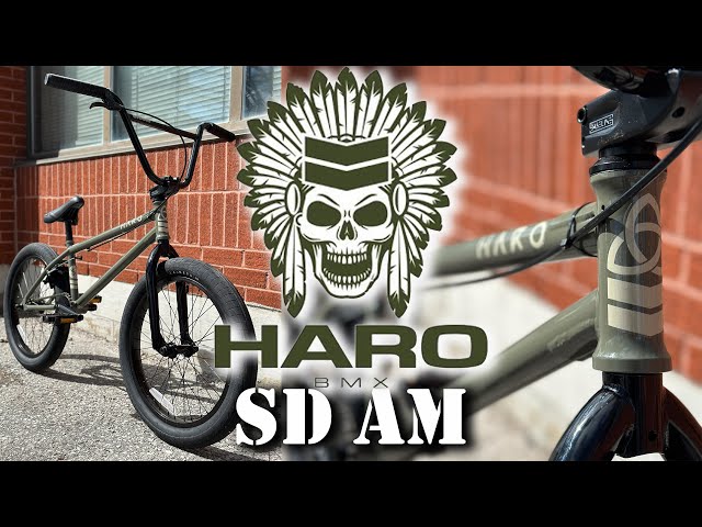 2023 HARO SD AM 