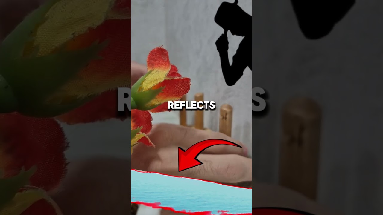 "🌊 The Mystical Aura of Still Water 🌌✨"