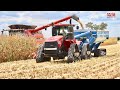 CASE IH Corn Harvest