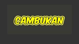 Efek Suara Cambukan