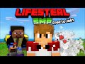 Minecraft Playing In My Lifesteal Smp With My Subscriber