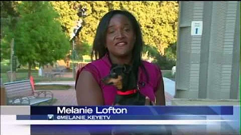 Missing Dog Returns After 2 Years