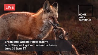 Break Into Wildlife Photography with Brooke Bartleson