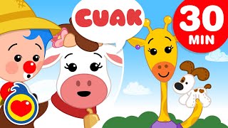 A Vaca Laura... Está Errada ♫ E Mais Música infantil de Animais (30 Min) ♫ Um Herói do Coração