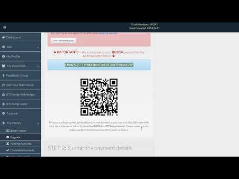 როგორ გამოვიმუშაოთ თანხა - Btchamp