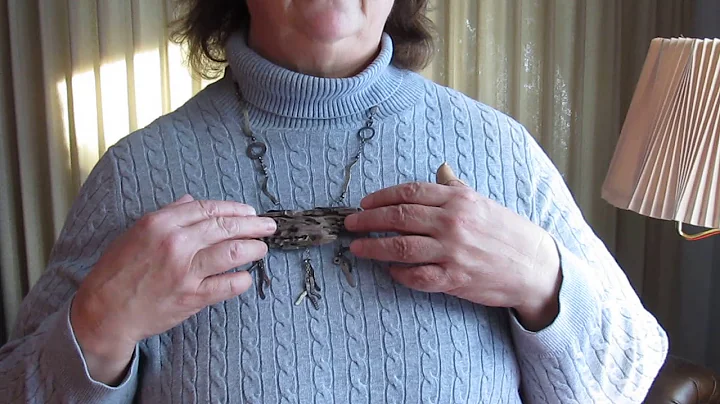 Jean Shaffer's "Driftwood Decay" Necklace