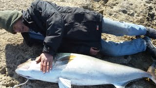 : #MINYER # 47,2 kg HEAVY CASTING  #OCEANIC #STEALTH390 #PENN 10500 BIG CATCH CYPRUS #